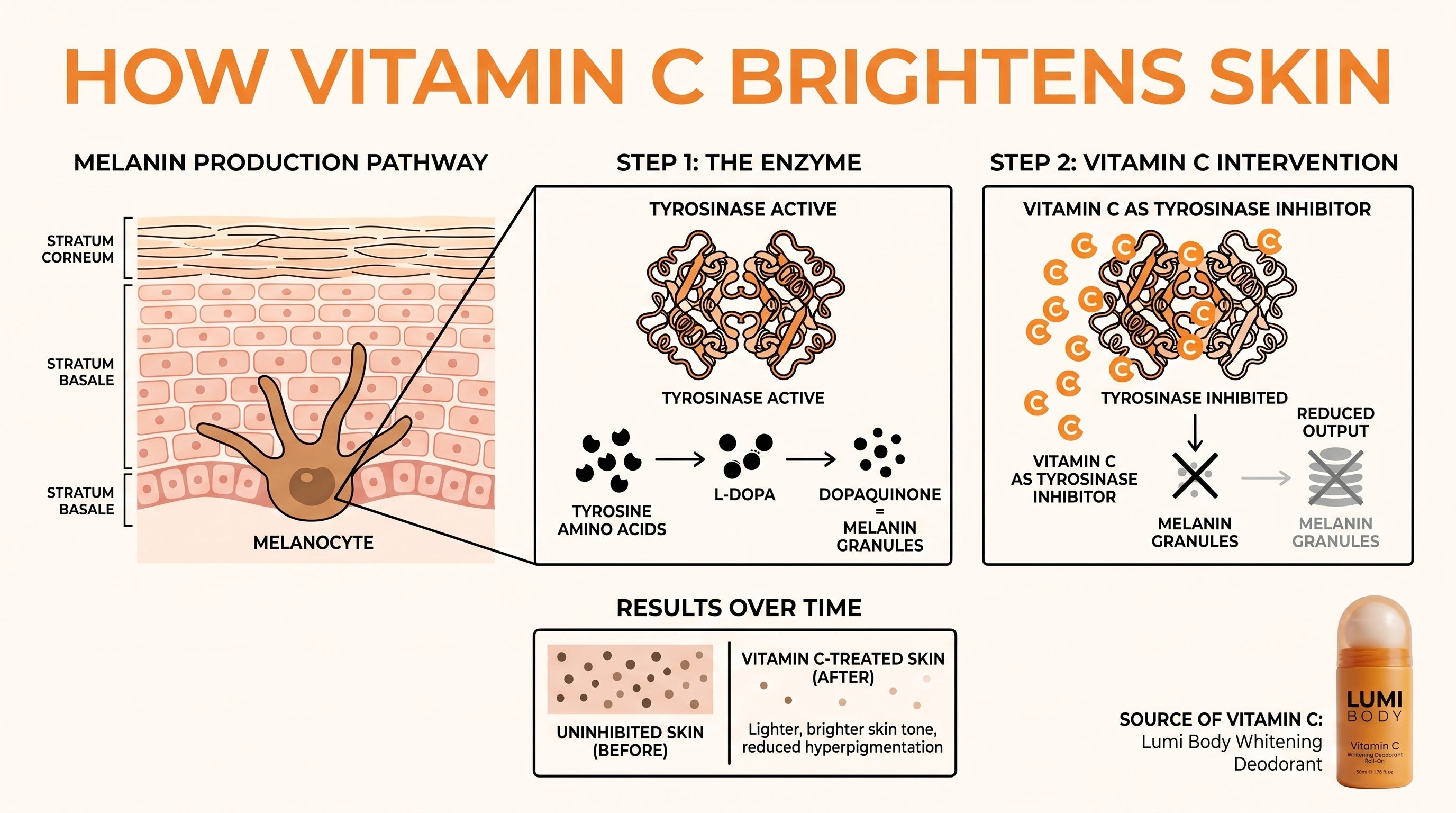 Vitamin C Brightening Underarm Roll-On | Whitening & Antiperspirant Deodorant