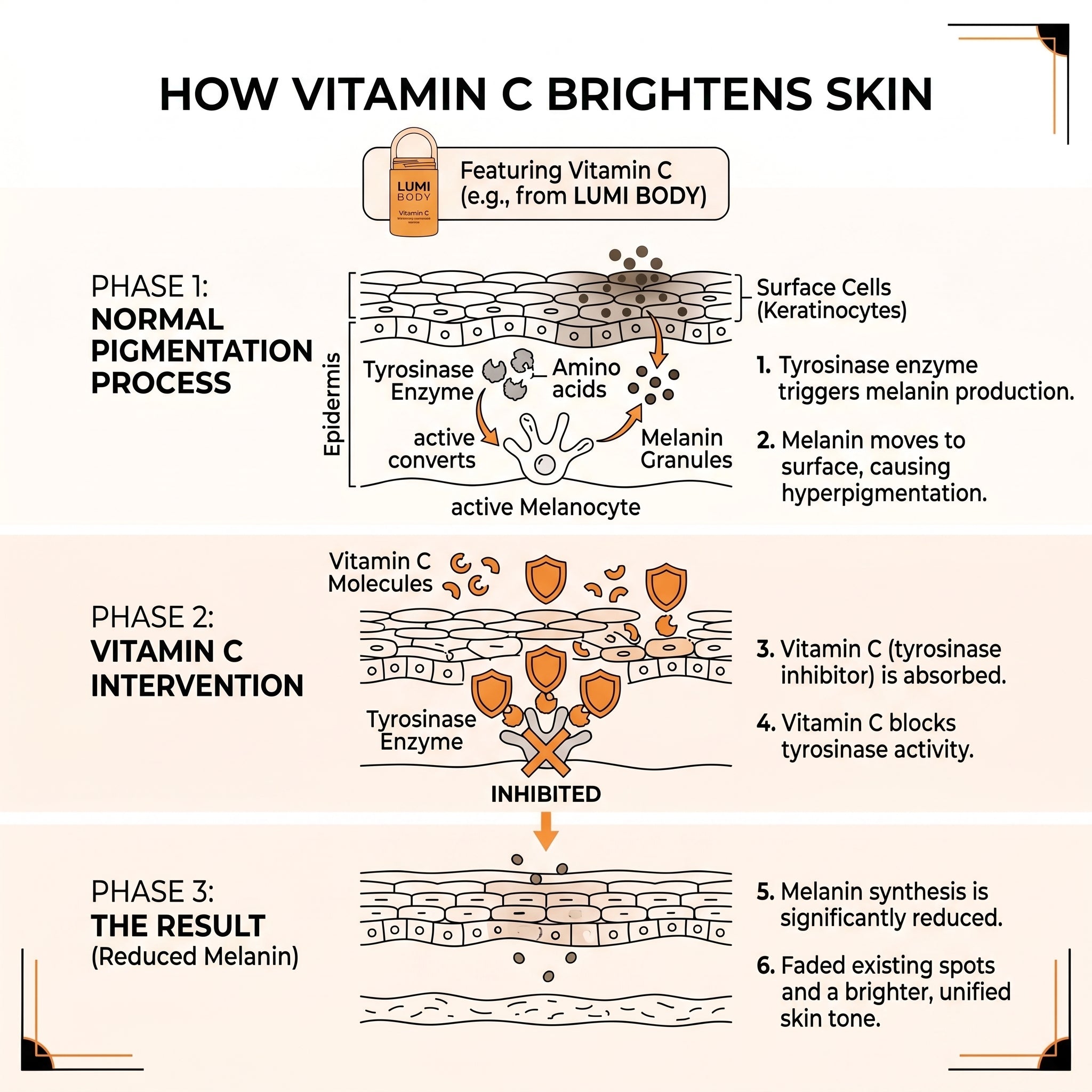 Vitamin C Brightening Underarm Roll-On | Whitening & Antiperspirant Deodorant